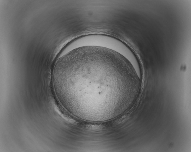 X0000115010107200911161610