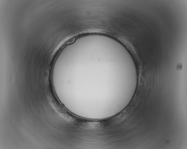 X0000115010108200911161610