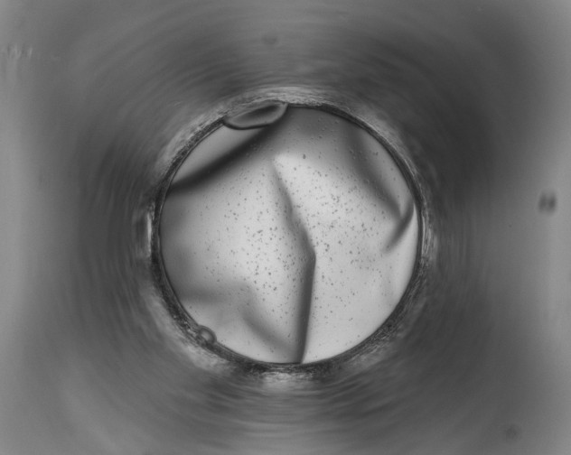 X0000115010109200911161610