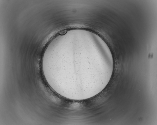X0000115010111200911161610