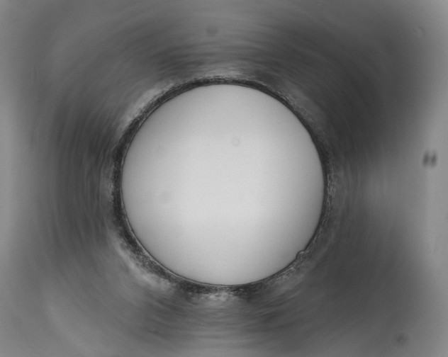 X0000115010112200911161610