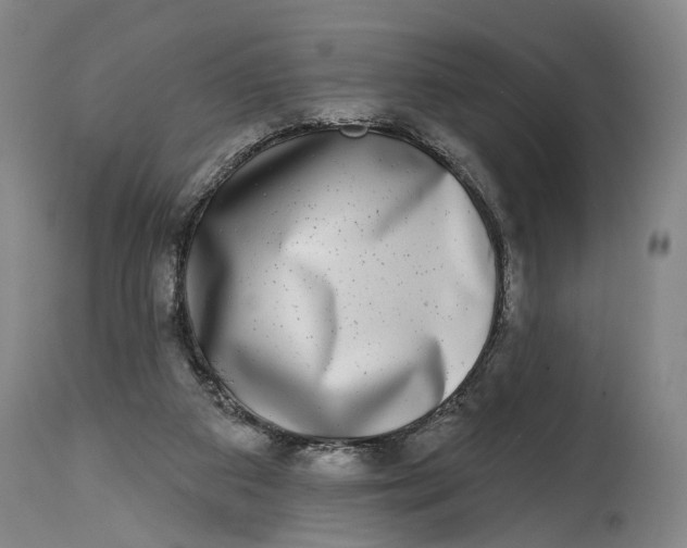 X0000115010113200911161610