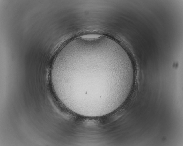 X0000115010115200911161610