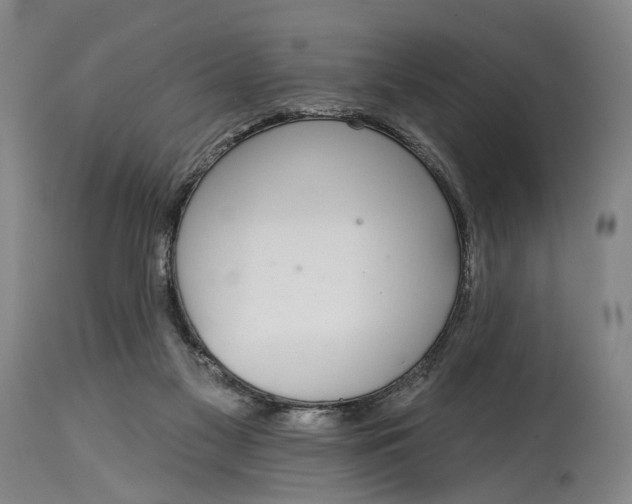 X0000115010117200911161610