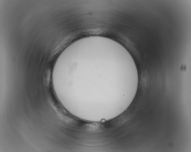X0000115010118200911161610