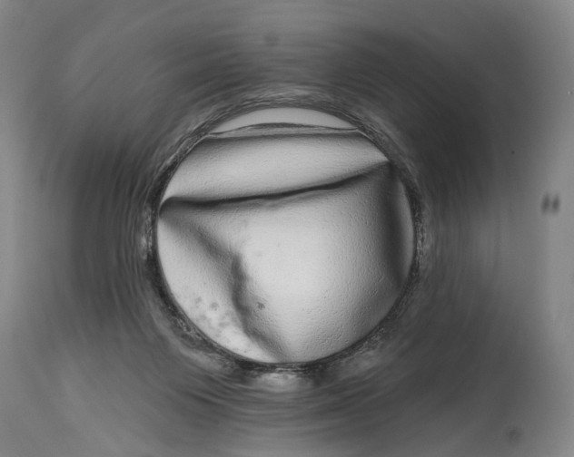 X0000115010119200911161610