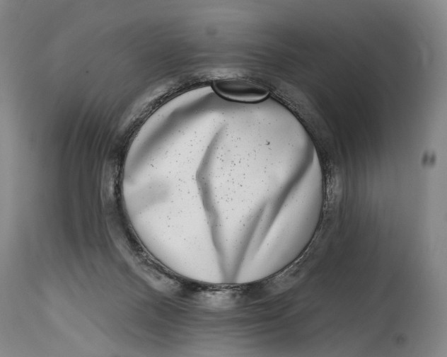 X0000115010120200911161610