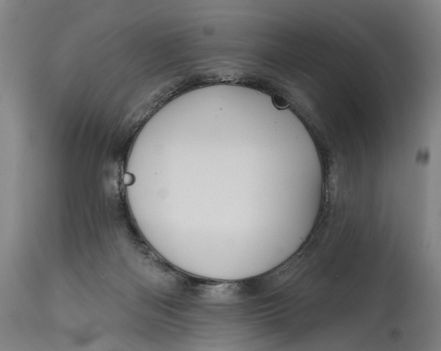 X0000115010122200911161609