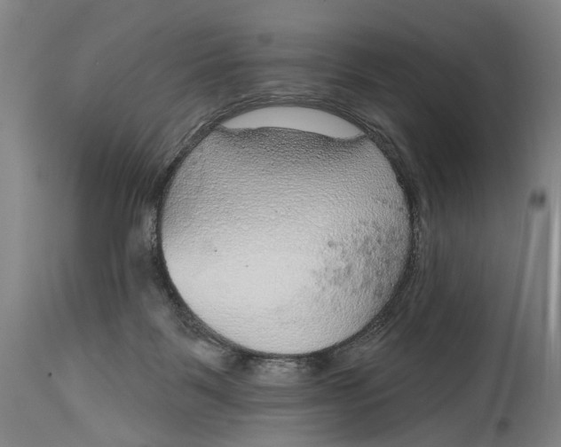 X0000115010123200911161609