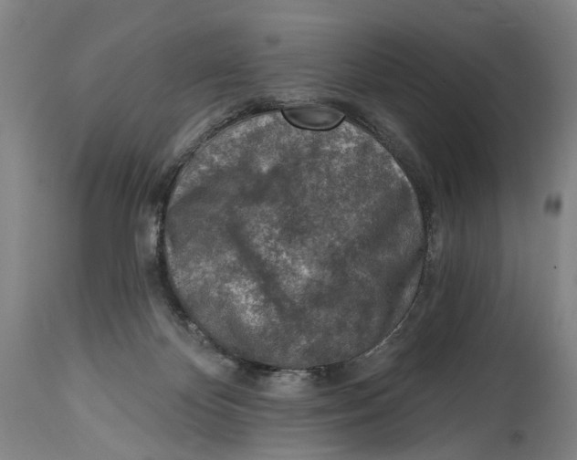 X0000115010124200911161609