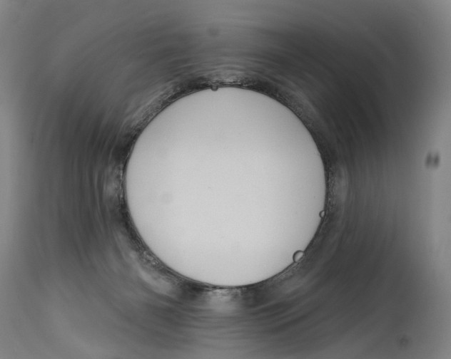 X0000115010126200911161609