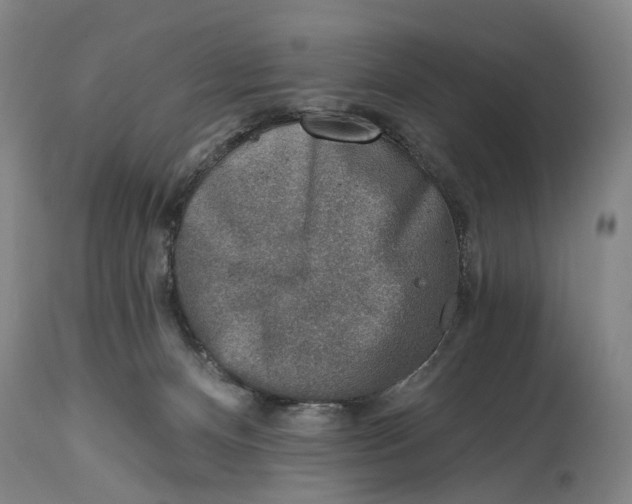 X0000115010128200911161609