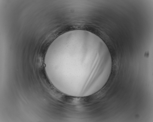 X0000115010130200911161609