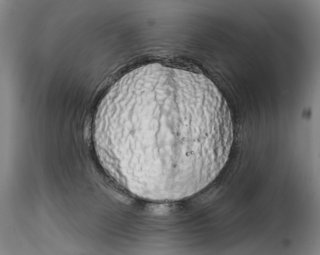 X0000115010131200911161609