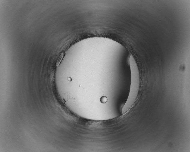 X0000115010132200911161609