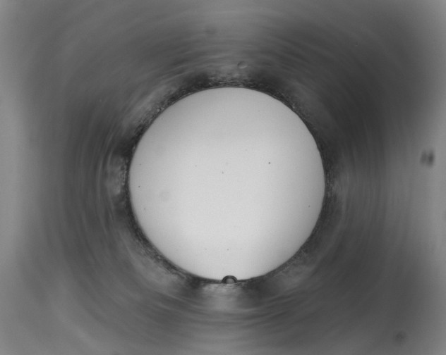 X0000115010133200911161609