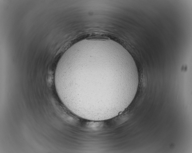 X0000115010135200911161609