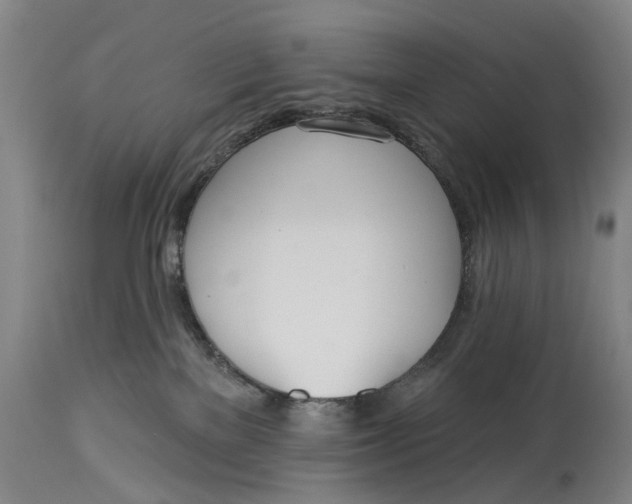 X0000115010137200911161609