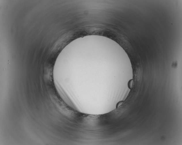 X0000115010138200911161609