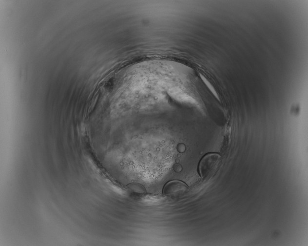 X0000115010139200911161609