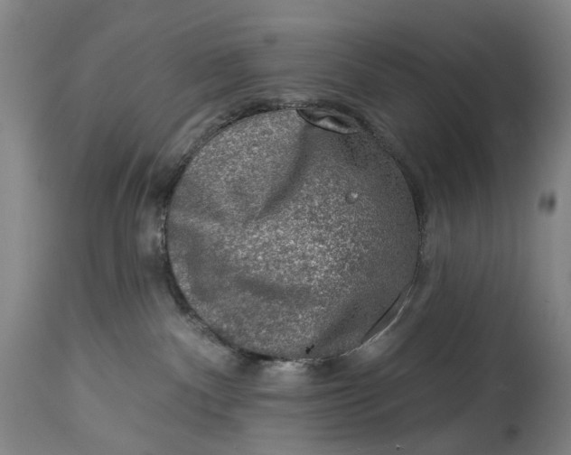 X0000115010140200911161609