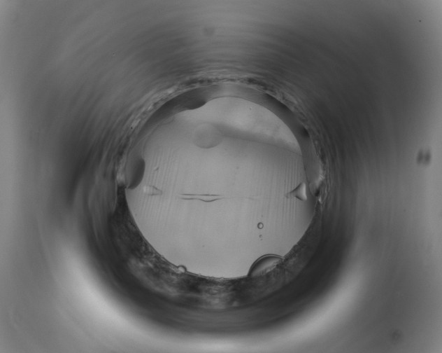 X0000115010143200911161609