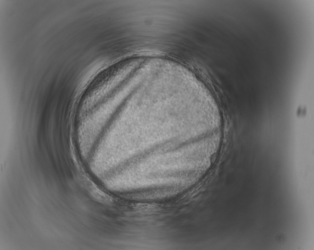 X0000115010145200911161609