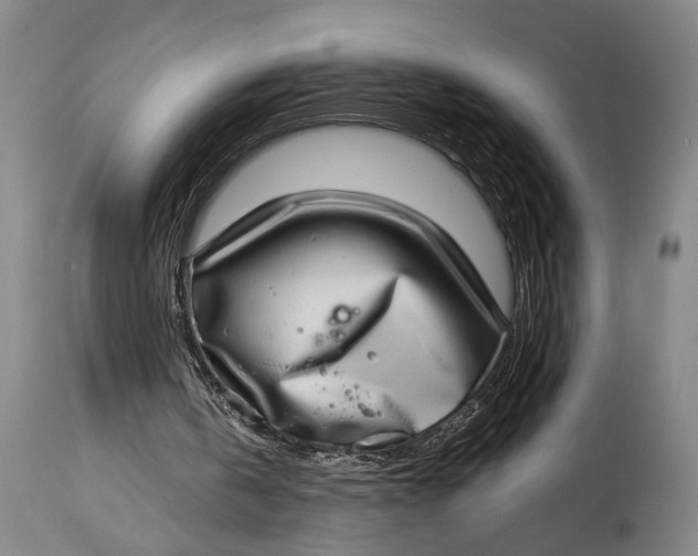 X0000115010146200911161609