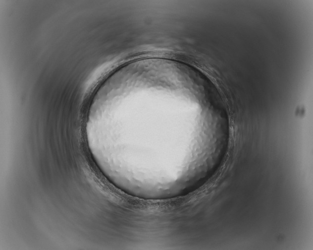 X0000115010149200911161609