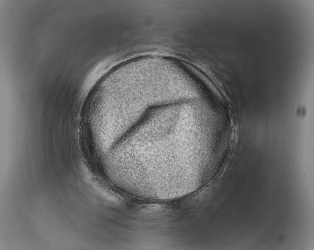 X0000115010151200911161609