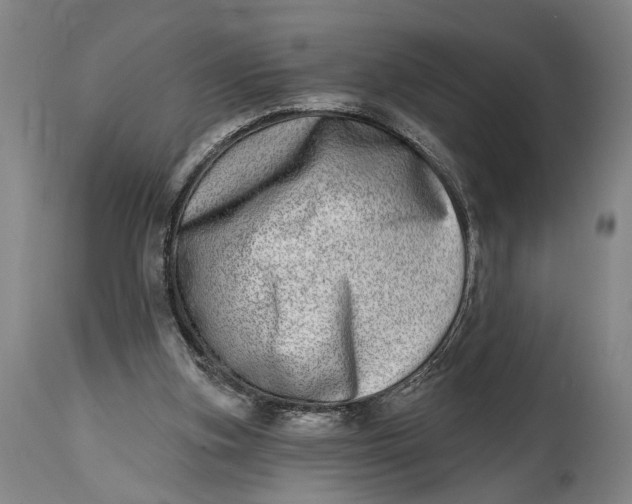 X0000115010155200911161609