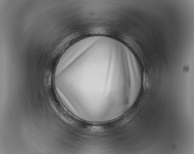 X0000115010157200911161609