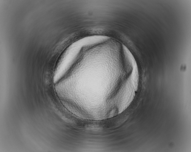 X0000115010161200911161609