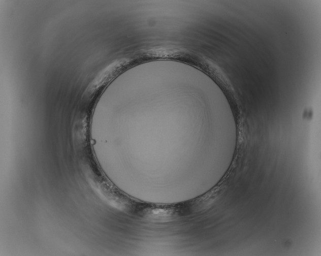 X0000115010163200911161609