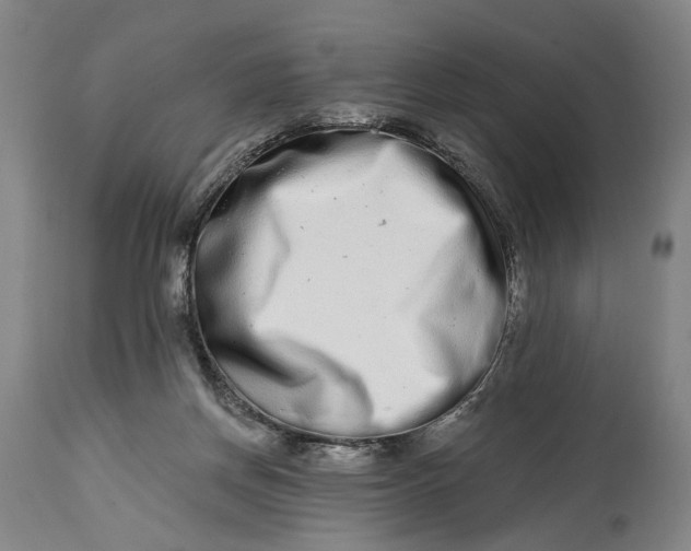 X0000115010166200911161609