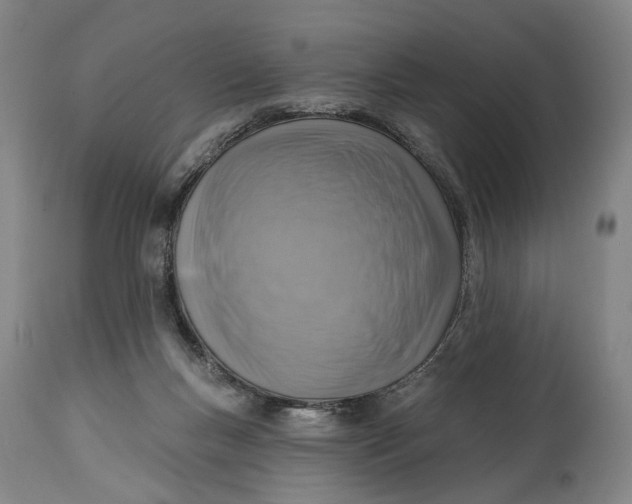 X0000115010167200911161609