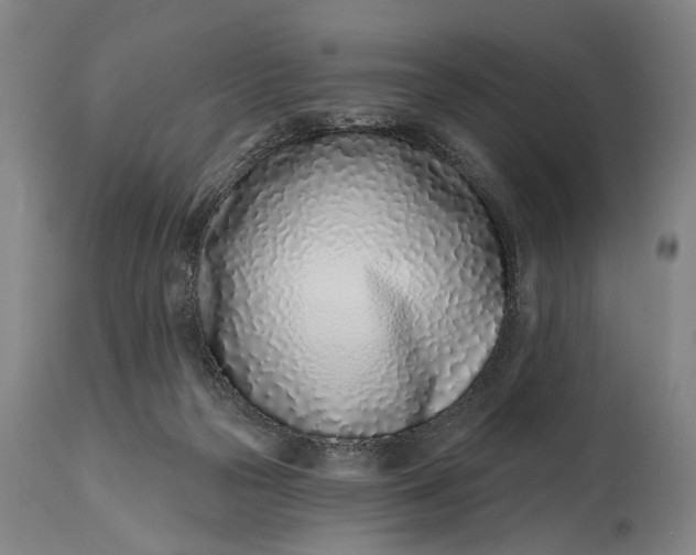 X0000115010169200911161609