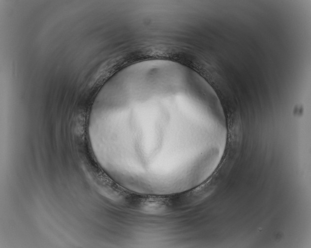 X0000115010175200911161609
