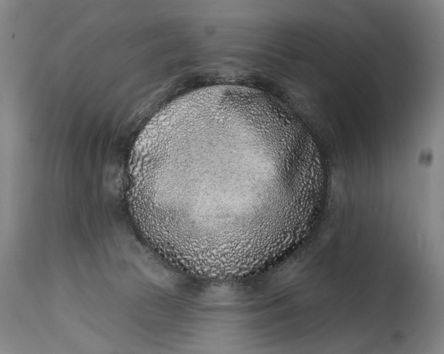 X0000115010177200911161609