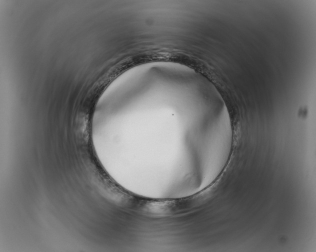 X0000115010178200911161609