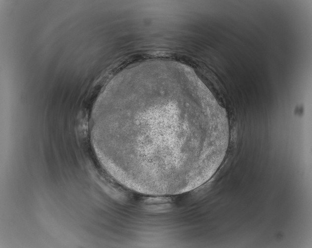X0000115010179200911161609