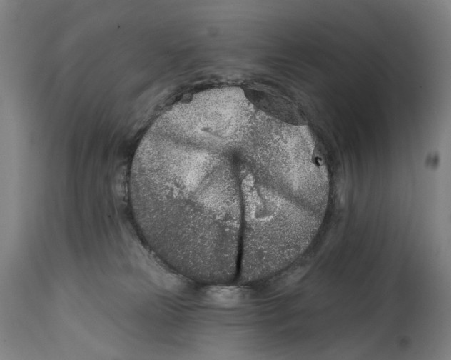 X0000115010181200911161609