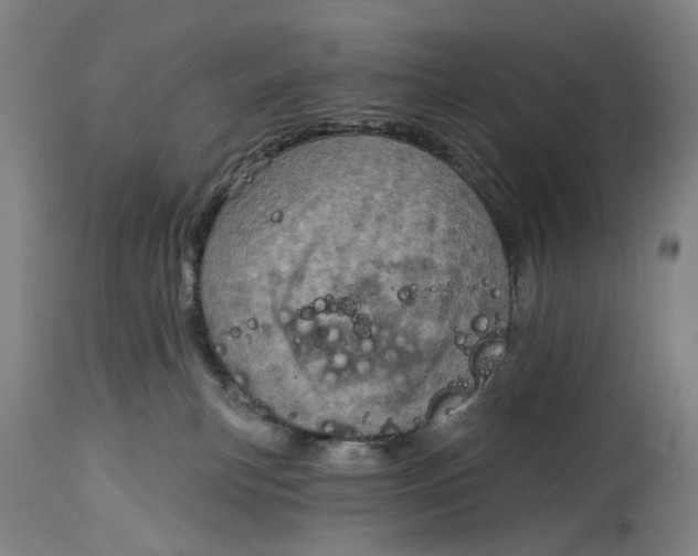 X0000115010183200911161609