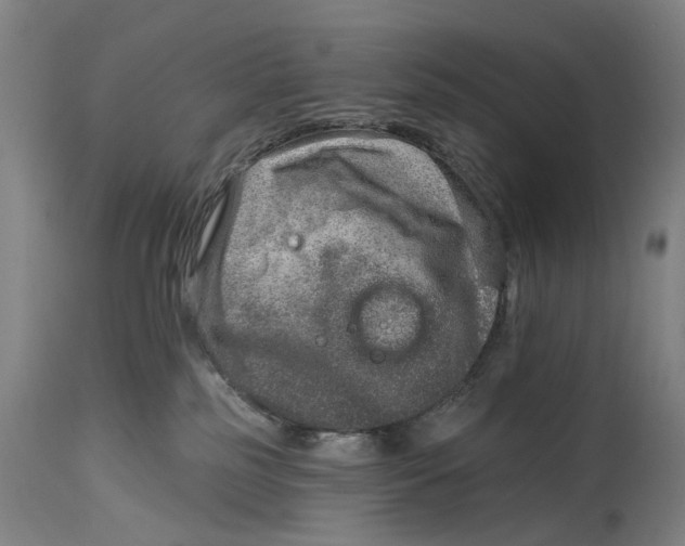 X0000115010185200911161609
