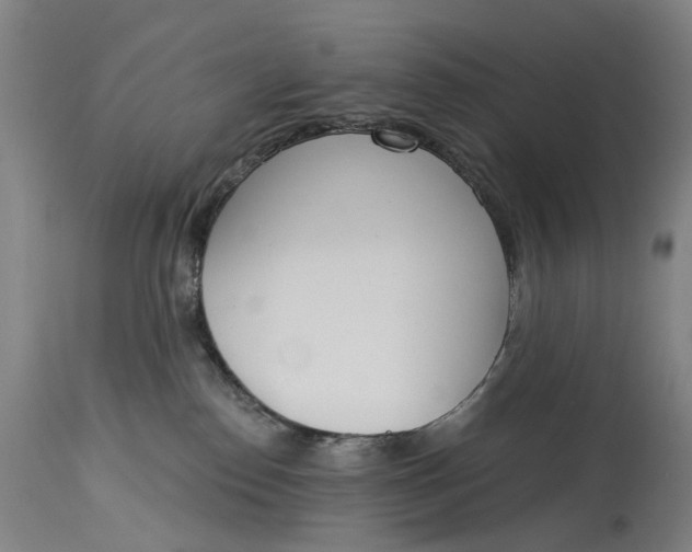 X0000115010186200911161609