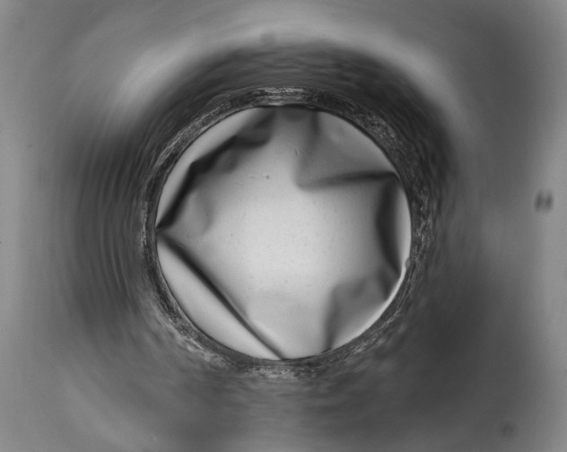 X0000115010194200911161609