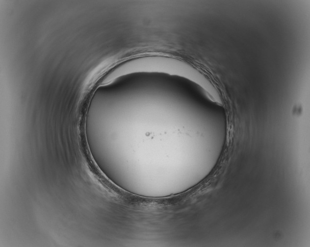 X0000115010197200911161608