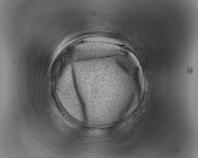 X0000115010198200911161608
