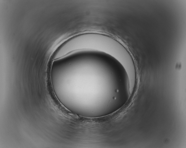 X0000115010199200911161608