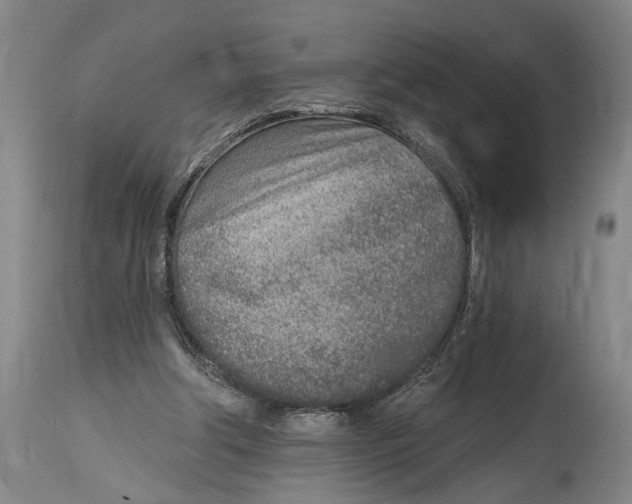 X0000115010202200911161608